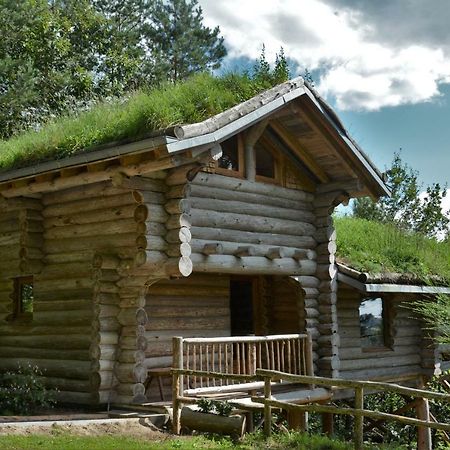 La Cabane De Hans Saint-Martial-de-Gimel Eksteriør billede