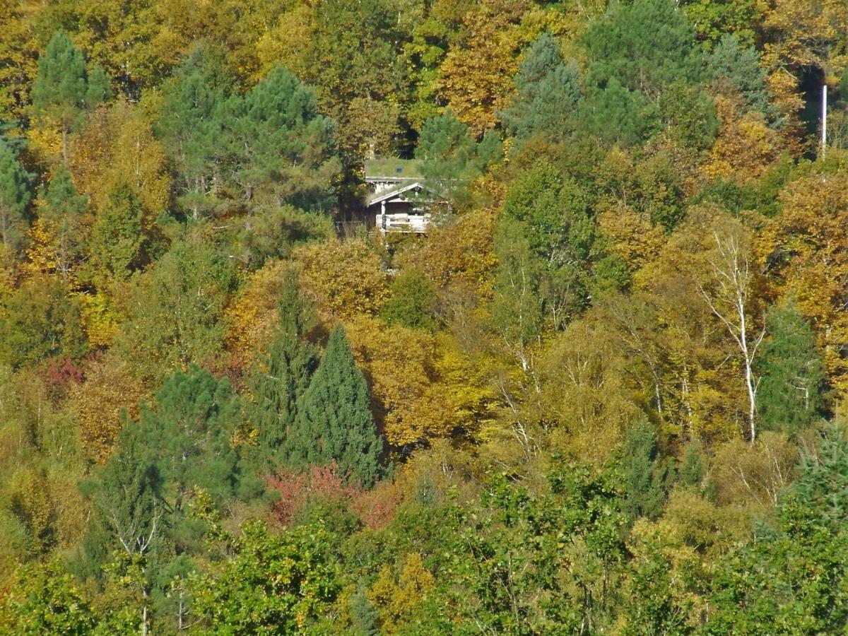 La Cabane De Hans Saint-Martial-de-Gimel Eksteriør billede