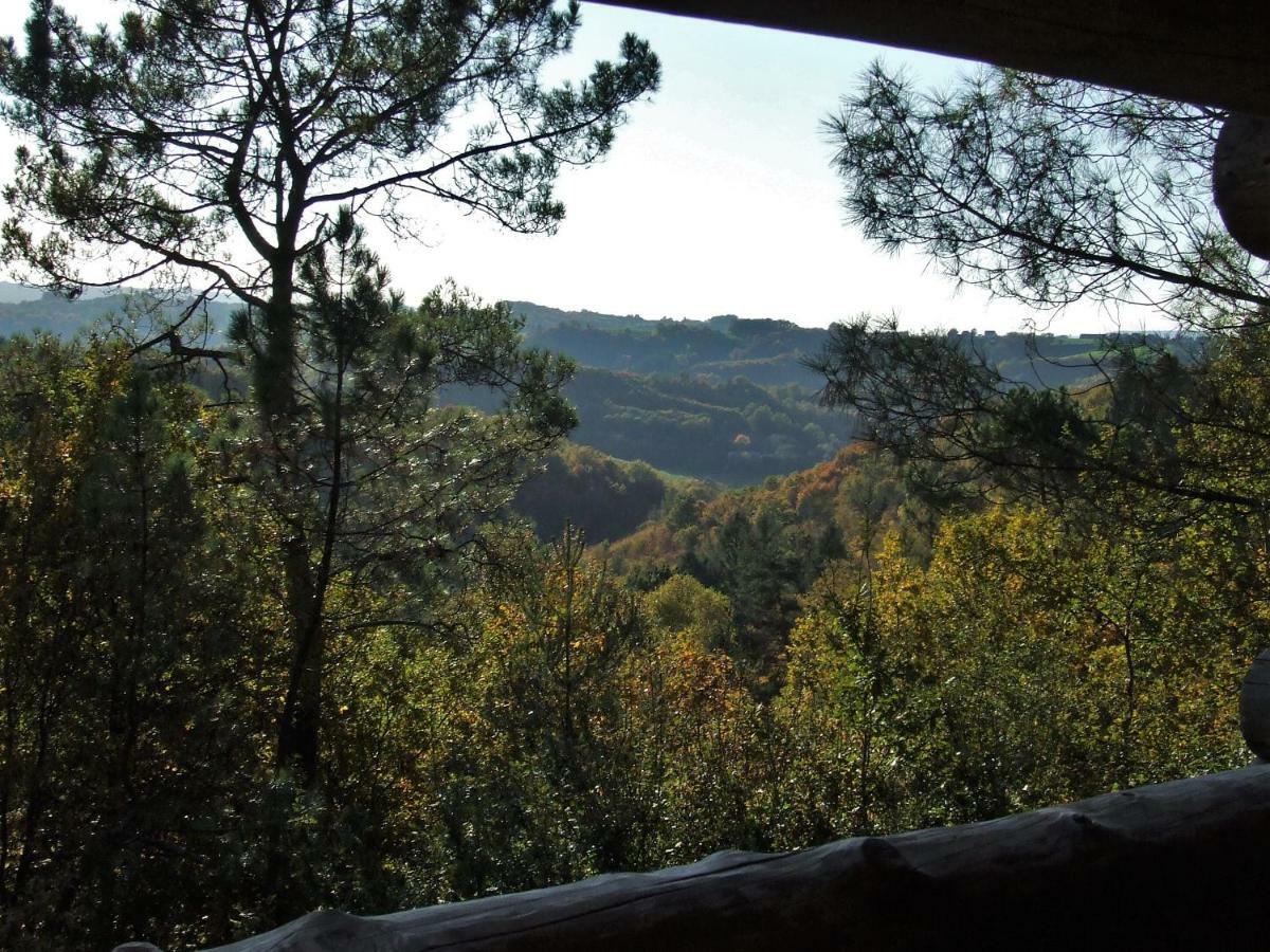 La Cabane De Hans Saint-Martial-de-Gimel Eksteriør billede